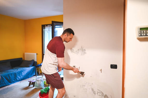 Best Commercial Mold Remediation in Ocoee, FL